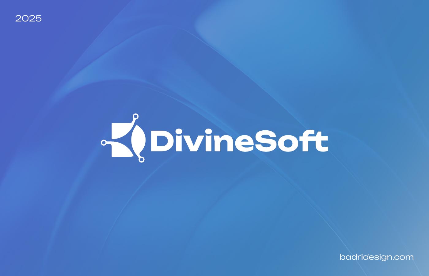 Divinesoft Brand Identity